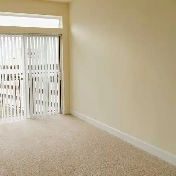 Carpet Cleaning Services in Altamonte Springs