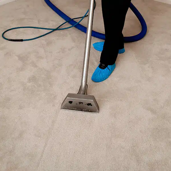 Carpet Cleaning Services