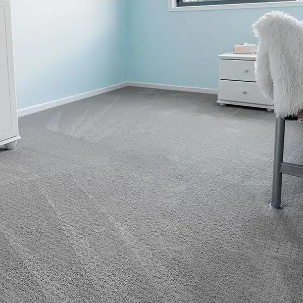 Carpet Cleaning Services