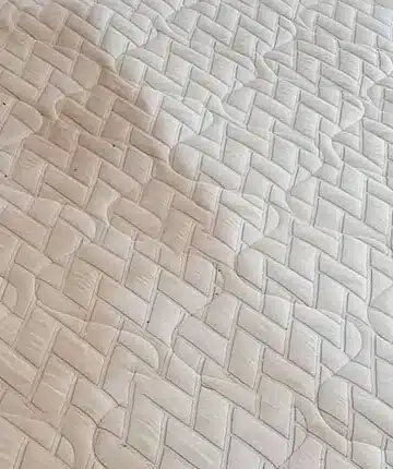 Mattress Cleaning