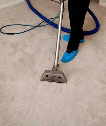 Carpet Cleaning